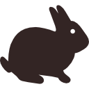 Sitting bunny rabbit