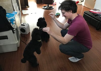 Mikey giving treats to two poodles