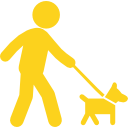 Person walking a dog