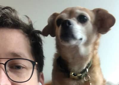 Lulu the sneaky chihuahua