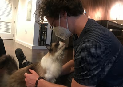 Park Avenue West's Natasha the ragdoll