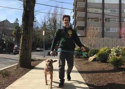Washington Park Condos' Finn the cattle dog