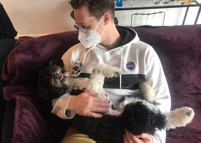 Indigo Apartments' cockapoo Pooh